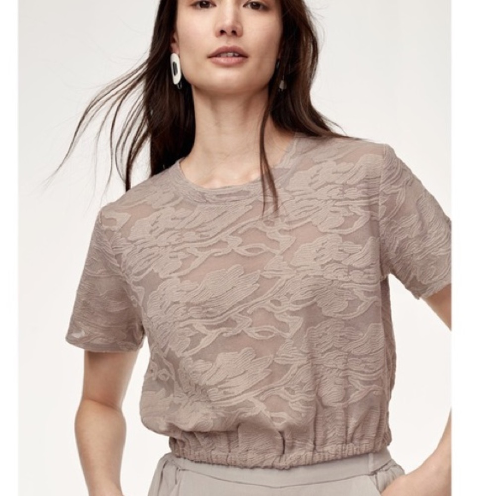 Aritzia Wilfred Piaf Cropped Mesh Top - image 1